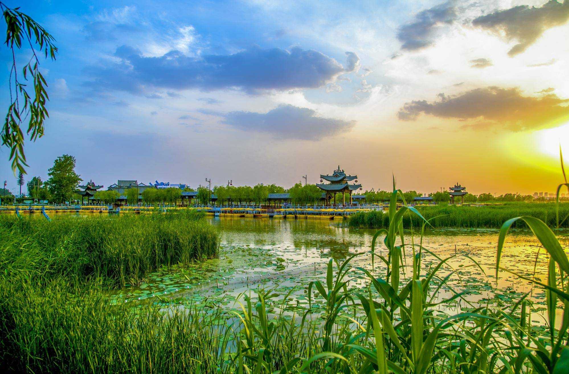 淮阳龙湖湿地公园图片